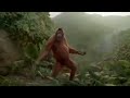 Parodie une souris verte un singe qui danse