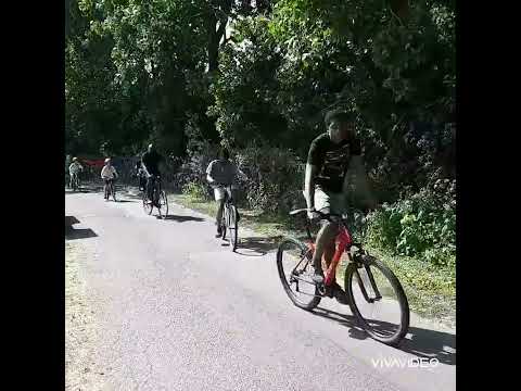 Бейне: W altham Forest велоспорт схемасы ауаның ластануын азайтып, тұрғындардың өмір сүру ұзақтығын арттырды