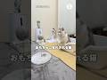おもちゃに狂わされる猫 #三毛猫 #短足ミヌエット #ミヌエット #猫 #猫動画
