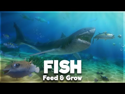 Feed and Grow: Fish - Void