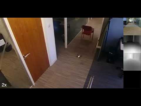 Embodied Visual Navigation with Automatic Curriculum Learning - Tello Drone Experiment #3
