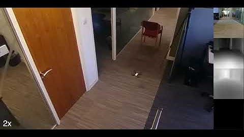 Embodied Visual Navigation with Automatic Curriculum Learning - Tello Drone Experiment #3