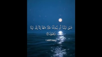 سبحان الله😴❤️ارح سمعك تلاوة هادئة تنسيك هموم الدنيا كلها😴💙حالات واتس اب دينية#القارئ محمد الفقيه