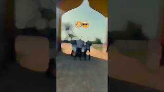 Instagram trending reel editing...🦁😎#trending #reels #instagram #edit