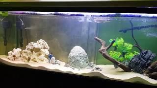 6 feet moulded fishtank for sale