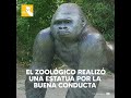 ¡Gorila le salvó la vida a un niño que cayó de las alturas!
