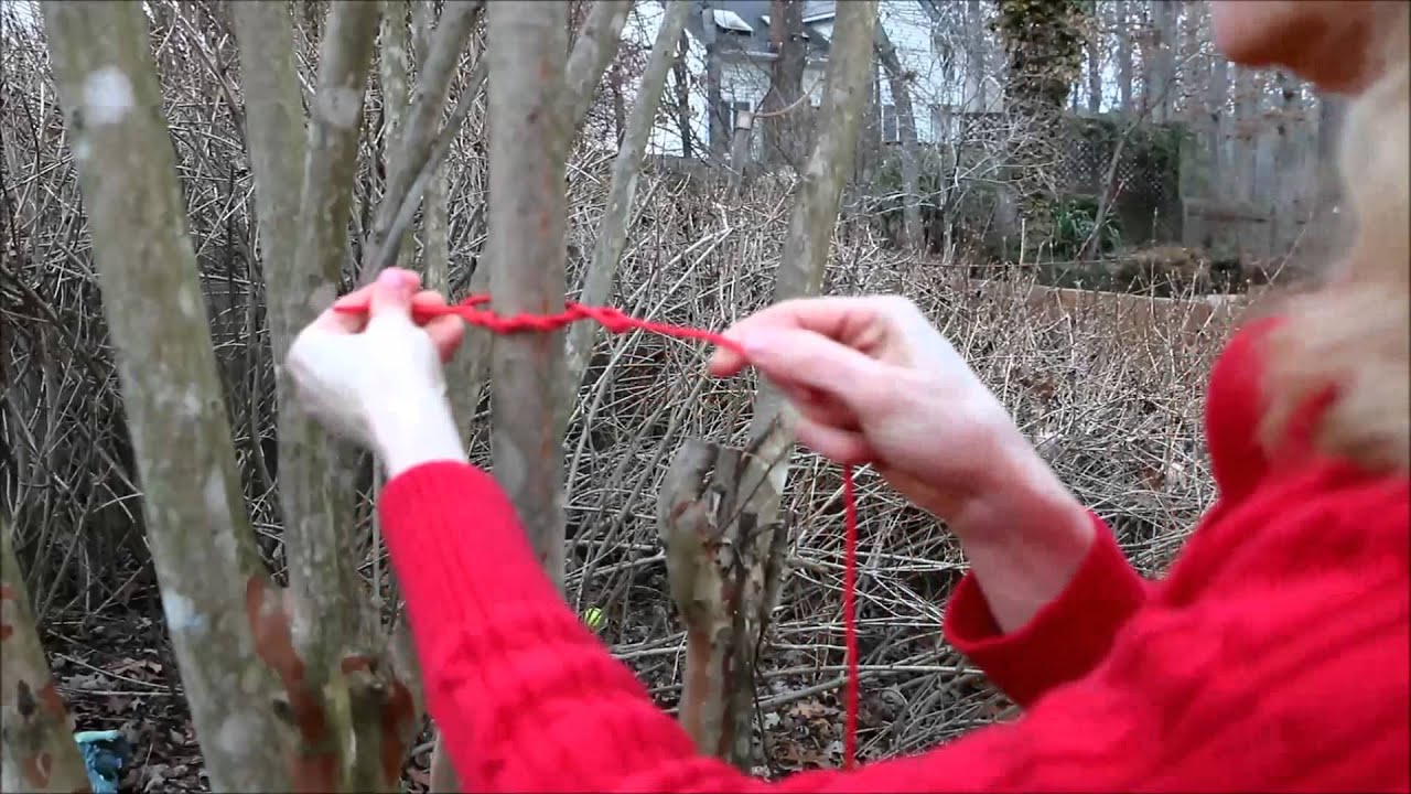 Timber Hitch YouTube