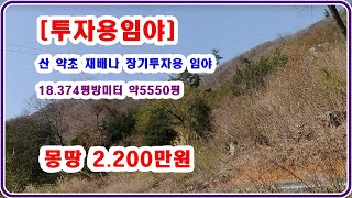 싼임야] 5550평 투자용이나 산 약초재배 등으로 추천드립니다  몽땅 2200만원