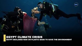 Egypt Declares War on Plastic Bags to Save the Environment