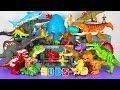 Jurassic World Unboxing Review Asmr Colorful Dinosaur Mosasaurus Rebirth T-rex Kentrosaurus Spino