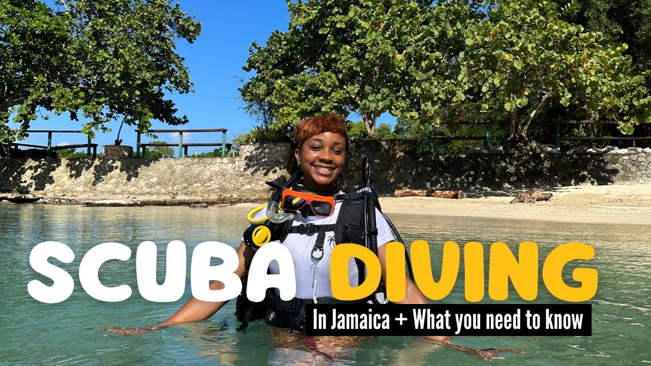 TRY SCUBA DIVING WITH ME