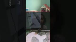 23 De Janeiro De 2022