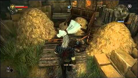 The Witcher 2:  "I guess they