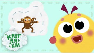 Кругляши - Мультфильмы для детей про животных и другие серии 🐮 СБОРНИК