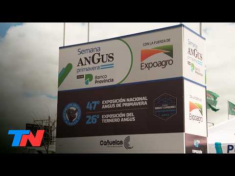 Cutting-edge genetics and long-term business: The production summary of the Angus Week in Cañuelas