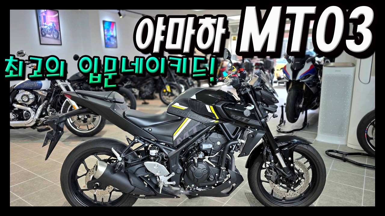 컨디션 최상+옵션까지 좋은 야마하 MT03을 판매합니다!!