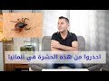 احذروا من هذه الحشرة في ألمانيا