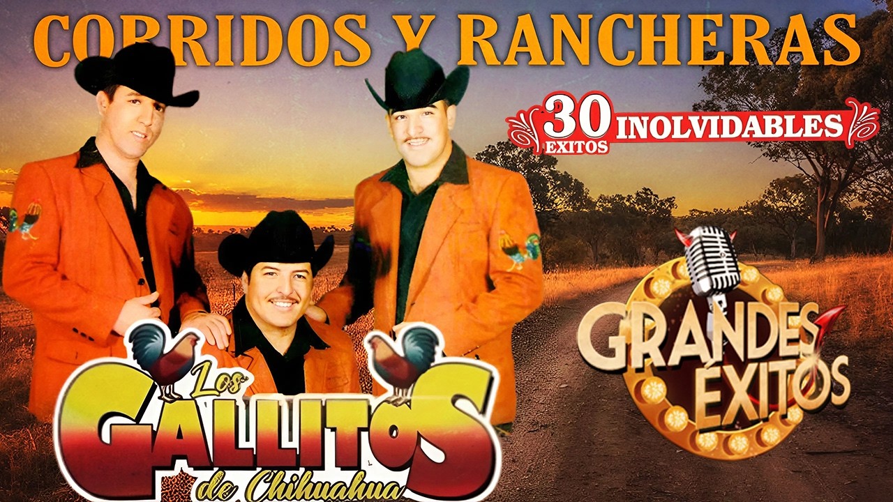 Los Gallitos De Chihuahua 🔥 | Corridos y Rancheras Que Nunca Fallan 🍻 Viejos Pero Poderosos