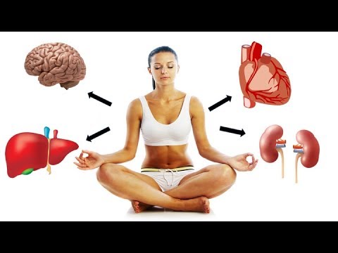 Video: What Happens To Your Body After 15 Minutes Of Meditation? - Alternative View