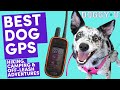 Best GPS for Your Dog: Hiking, Camping, and Adventuring safety with the Garmin Alpha:Garmin Astro