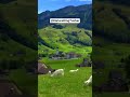 Schwende, Switzerland + Follow fordaily Swiss Content