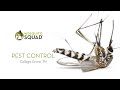 Pest Control College Grove TN | Tick Control &amp; Mosquito Control College Grove | Flea Exterminators