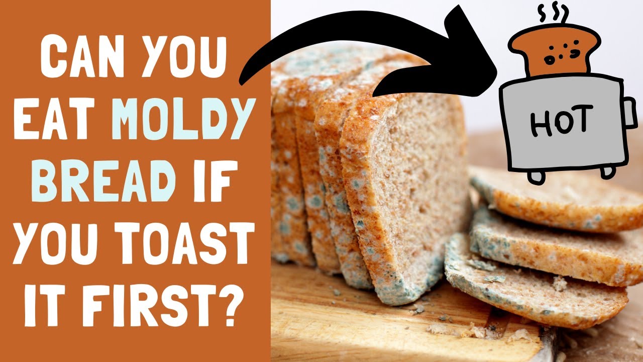 What happens when you eat moldy bread