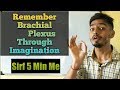 Remember Brachial Plexus Anatomy Through Imagination in Just 5 Minutes in Hindi by Dr Ankit Singh
