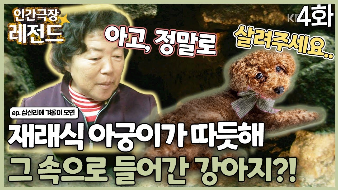 [인간극장 레전드 #278-4] 재래식 아궁이가 따듯해서 그 속으로 들어간 강아지?! | 삼산리에 겨울이 오면 (4/5) [KBS 111205-111209 방송]