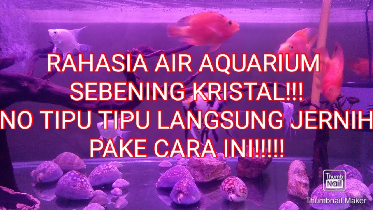 SUSUNAN MEDIA FILTER AGAR AIR AQUARIUM SEBENING KRISTAL!!!!!!! YouTube