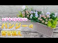 【有料級!】パンジーの寄せ植えとお花選びのポイントをプロが伝授します!【初心者向け】【ガーデニング】【園芸チャンネル】