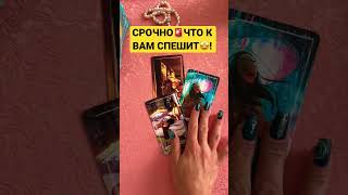 То что должны услышать🤩🥳😏#shorts, #tarot, #таро, #гадание, #love,#картадня, #Таро,​