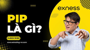 Pip Là Gì trong Forex? Cách Tính Giá Trị Pip trên Sàn Exness