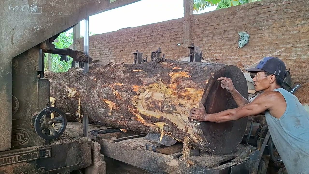 One large log was sawn into 10 wood slabs! 