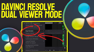 Hoe je één kijker kunt zien in DaVinci Resolve 18 (DaVinci Resolve Dual Viewer-modus)