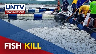 Nasa 300 toneladang bangus at tilapia, namatay sa Taal Lake — BFAR