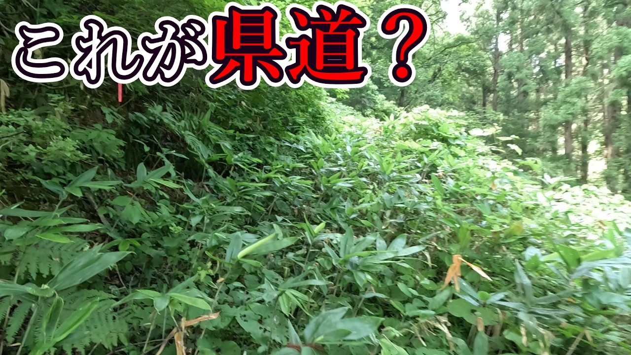 ねえ…？ 道どこ…？ [山形県道3号 米沢南陽白鷹線]
