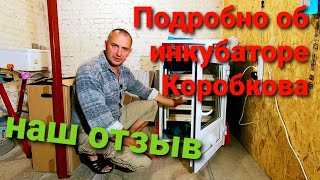 Инкубатор Владимира Коробкова. Обзор и отзыв