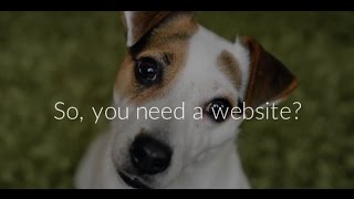 Zigger Web Design