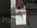 🥰🥰🥰👍👍👍 #youkzuan #newtools #tilecutter #tiletools