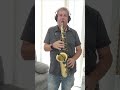 autumn leaves - Saxophone alto Eb Brasspire unicorn