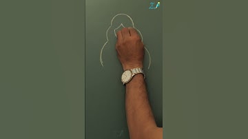 HOW TO DRAW A PRINCESS - HOW TO DRAW A GIRL EASY STEP BY STEP - كيف ترسم أميرة