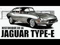 Jaguar typee  tout savoir sur le modele