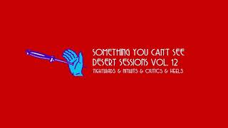 Something You Can&#39;t See (Audio) - Desert Sessions Vol. 12