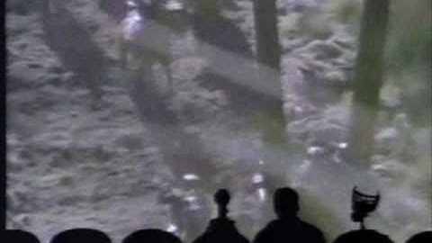 MST3K Deathstalker - Who are we? Bats!