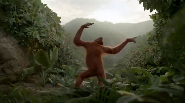 Birthday - Orangutan Dance - Beatles Cover