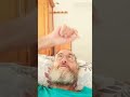 Nova plano