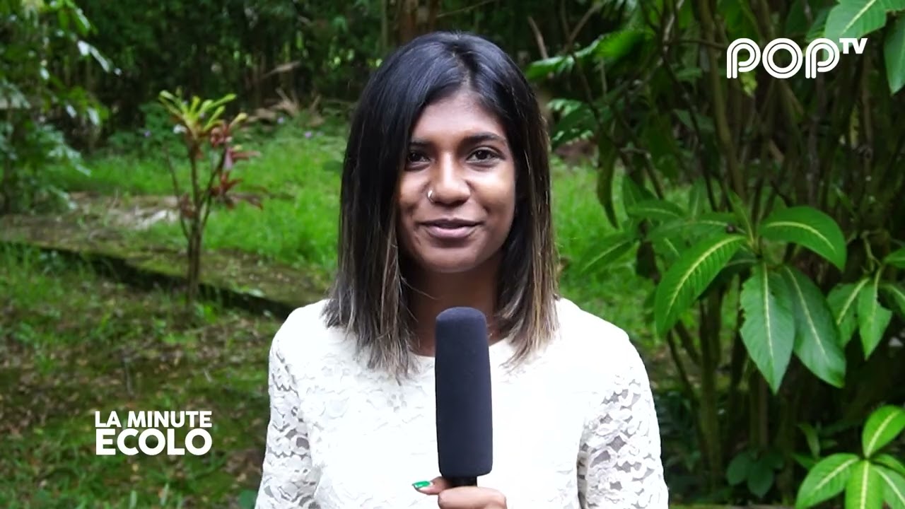 La Minute Écolo - Eco-Friendly Summer - S02E02