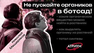 картинка: Что можно найти в растениях: как выделять и синтезировать природные соединения