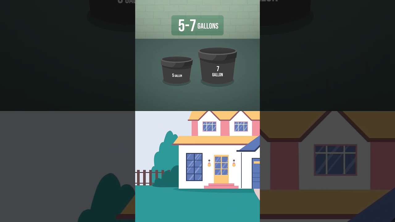 Correct Pot Size For Your Grow.